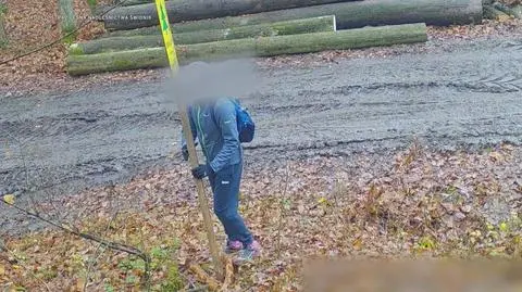 Klatka kluczowa-32845