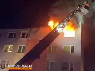 Pożar wybuchł w nocy