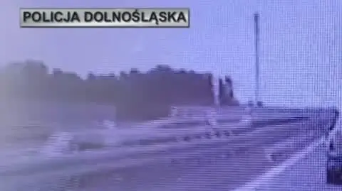policja