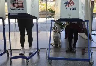 Nowy Jork głosuje. "Potrzebujemy zmiany"