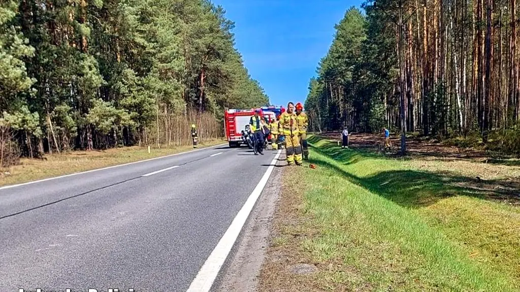 Do wypadku doszło na prostym odcinku drogi