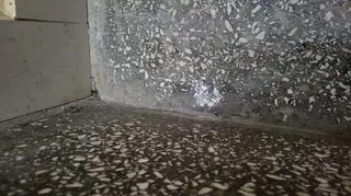 Sanok. Mężczyzna nie żyje, wcześniej zabił matkę i zaatakował policjantów