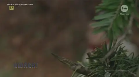 Klatka kluczowa-93959