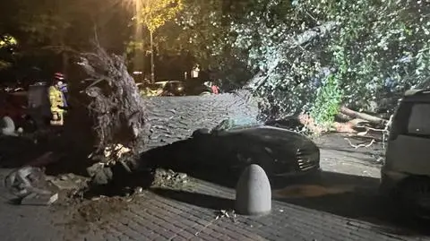 Drzewo runęło na samochód
