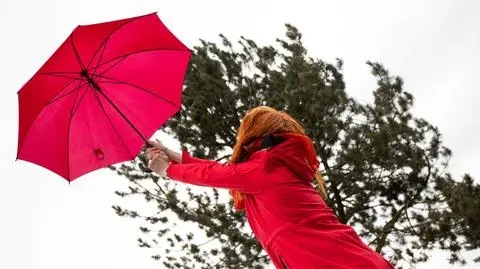 shutterstock_2117539175