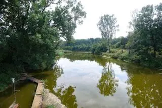 Pławniowice, 18.08.2024. Rzeka Kłodnica