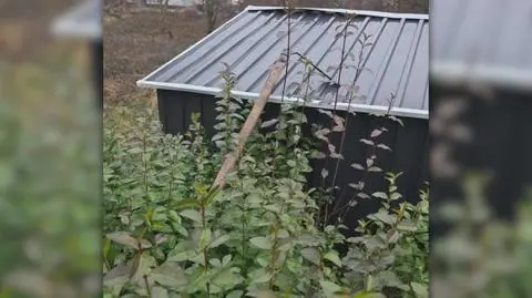 Klatka kluczowa-144342