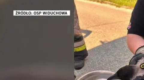 OSP Widuchowa 