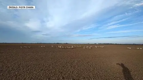 Zagraniczni myśliwi w Parku Narodowym Ujście Warty