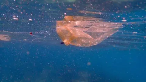 Zanieczyszczenie mikroplastikiem 