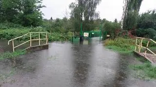 Górki Ustowskie. Zalane działki 