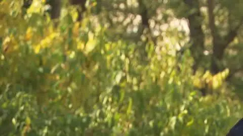 Radosław Śledziński