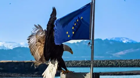 Alaska. Orzeł i flaga stanu