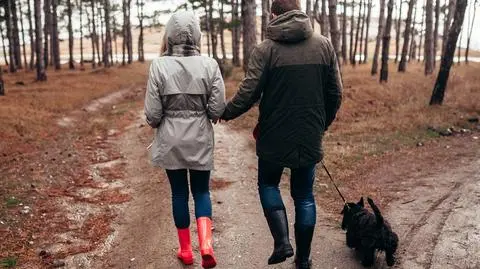 AdobeStock_144515227