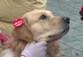 "Zrobiliśmy przepiękny dzień". Finał WOŚP w minutę