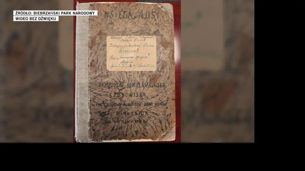 Biebrzański Park Narodowy