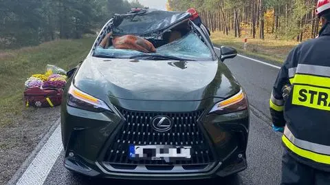 Mała Nieszawka. Groźny wypadek z udziałem samochodu osobowego i jelenia
