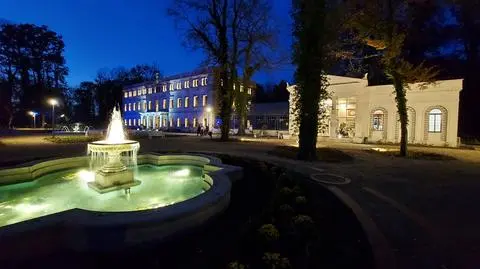 Zostawił auto na drodze przed pałacem i poszedł na spacer. Zapłaci za to pięć tysięcy złotych