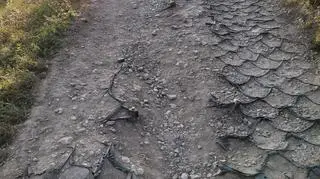 Zniszczona ścieżka na Kopcu Kraka w Krakowie