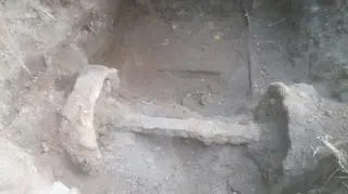 W Mamerkach odnaleziono fragment torowiska
