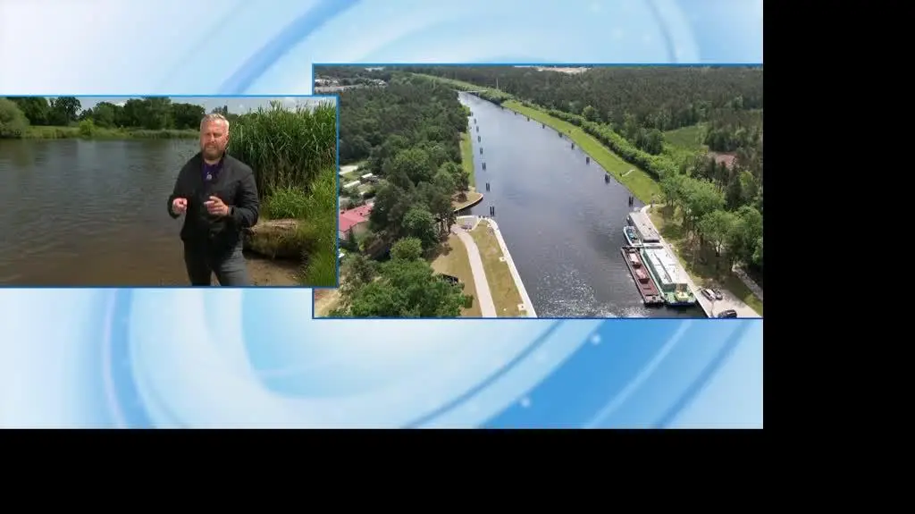 live igor 2