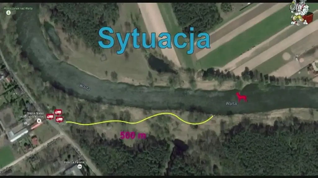 Akcja ratowania psa, pod którym załamał się lód