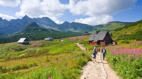 Ważny termin dla pracowników w sprawie urlopu. Wyjaśniamy