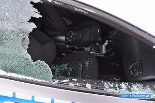 Wybił szyby w radiowozach, namierzył go policyjny pies