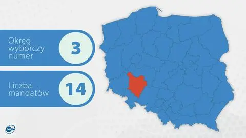 Barwny dziennikarz sportowy spadochroniarzem z Łodzi. Schetyna z Sejmu do Senatu 
