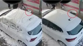 Do myjni samochodowej zabrali psa