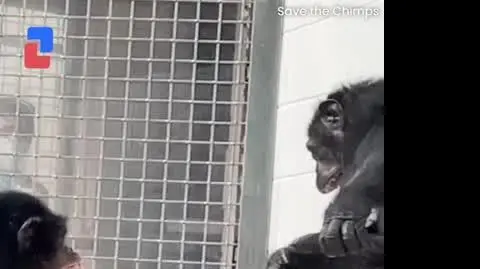 SZYMPANSNIEBO_WM_2806 (1)