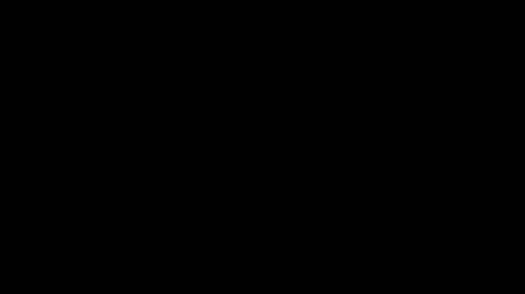 Lubliniec_bratki