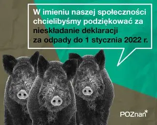 Dziki dziękują mieszkańcom