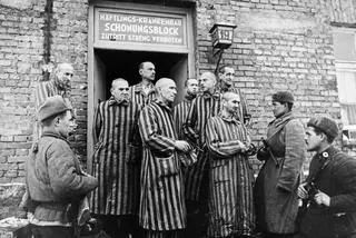 Wyzwolenie KL Auschwitz