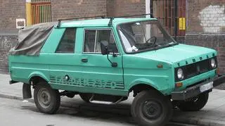 Tarpan 237D