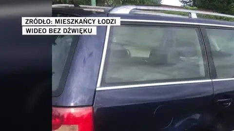 Mieszkańcy Łodzi