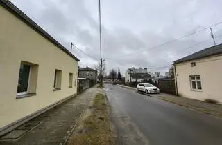 Nieznany sprawca strzela do kotów przy ulicy Kołłątaja w Aleksandrowie Łódzkim