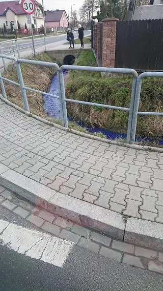 Zanieczyszczony potok Pychowicki w Krakowie