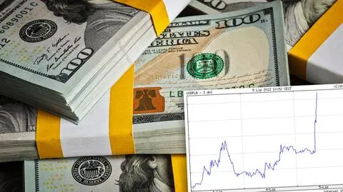 Złoty topi się w czerwieni. Dolar najdroższy od 2000 roku