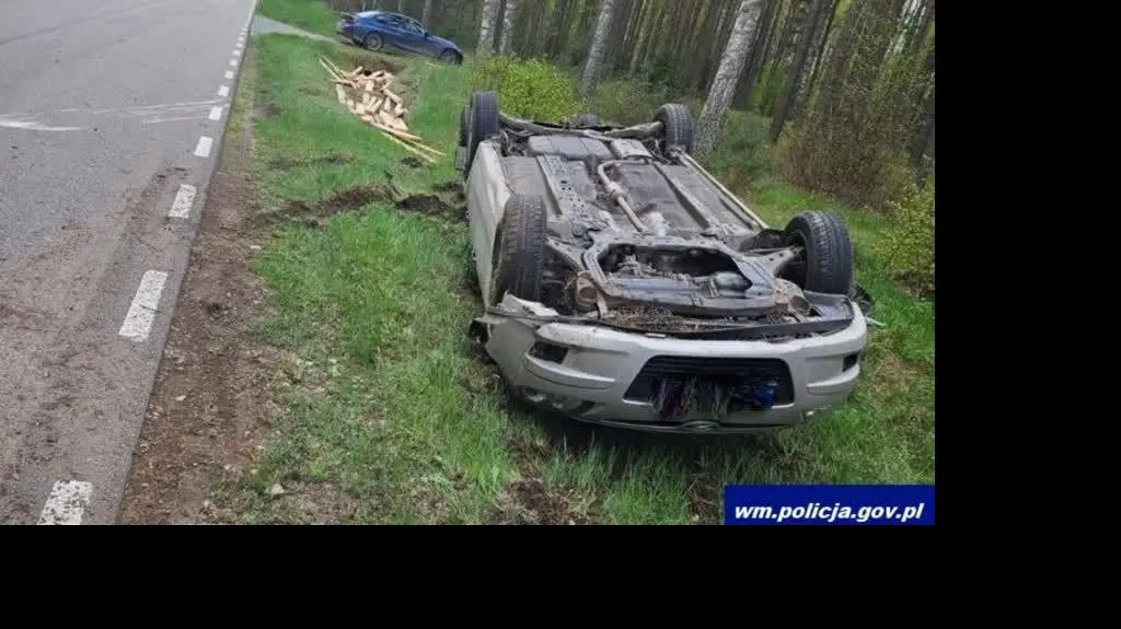 sarna_wypadek