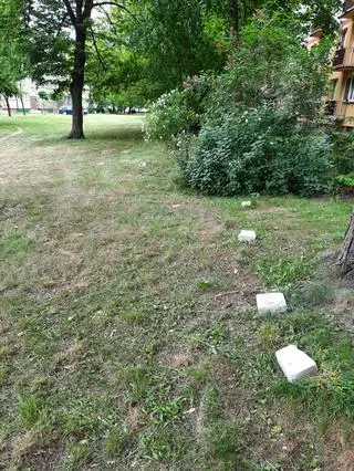 Parking ma powstać od strony balkonów bloku przy Bema 91 (po prawej stronie zdjęcia). Ma sięgać drzewa po lewej stronie 