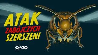 Atak zabójczych szerszeni