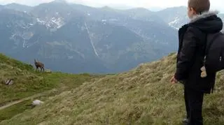 "Rodzinka z dzieckiem w plecaku" odwiedza też polskie Tatry