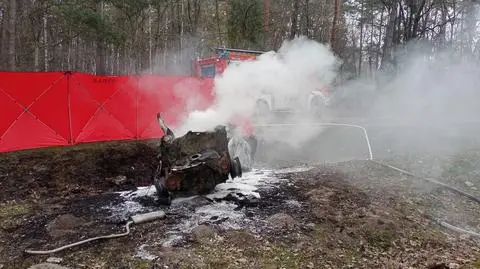 Auto zderzyło się z ciężarówką i doszczętnie spłonęło. Nie żyje jedna osoba