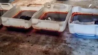 Policjanci zabezpieczyli odczynniki służące do wyrobu narkotyków 
