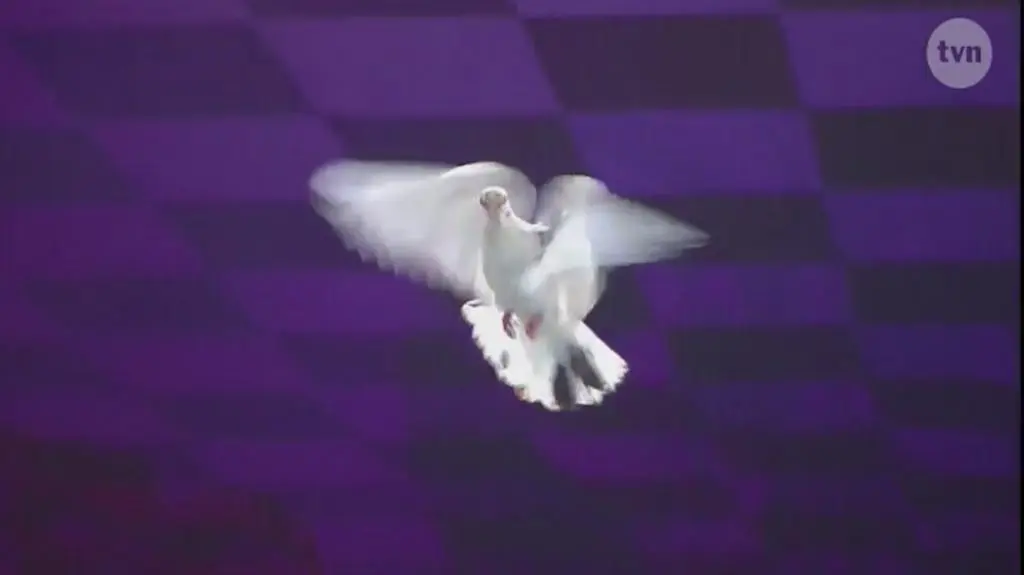 Gołębie na scenie Mam Talent!