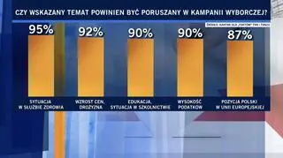 Should a given issue be addressed in the election campaign? Kantar poll for "Fakty" TVN and TVN24