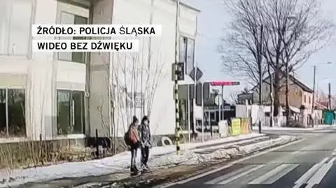 POLICJA ŚLĄSKA