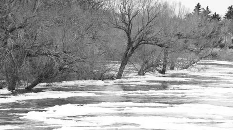 Wysoki poziom wody w rzekach. Alerty hydrologiczne, nawet najwyższego stopnia