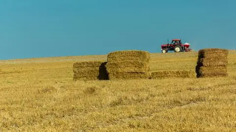 Duda deklasuje na wsi. Tutaj wygrałby w pierwszej turze